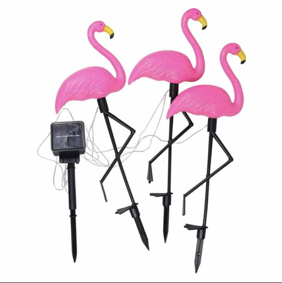 lumiere_solaire_exterieur_pour_décoration