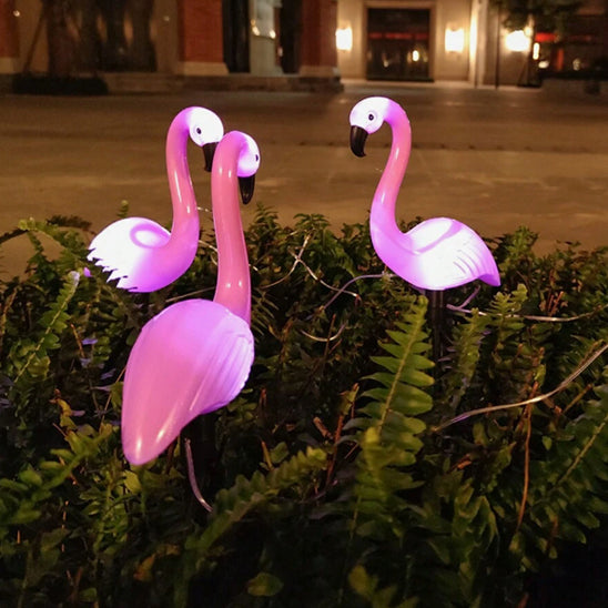 lumiere_solaire_exterieur_pour_décoration