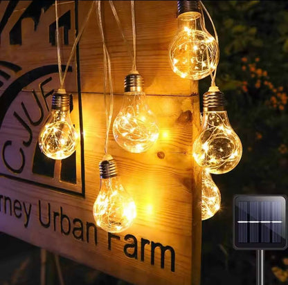 guirlande-led-lumineuse -pour-jardins 